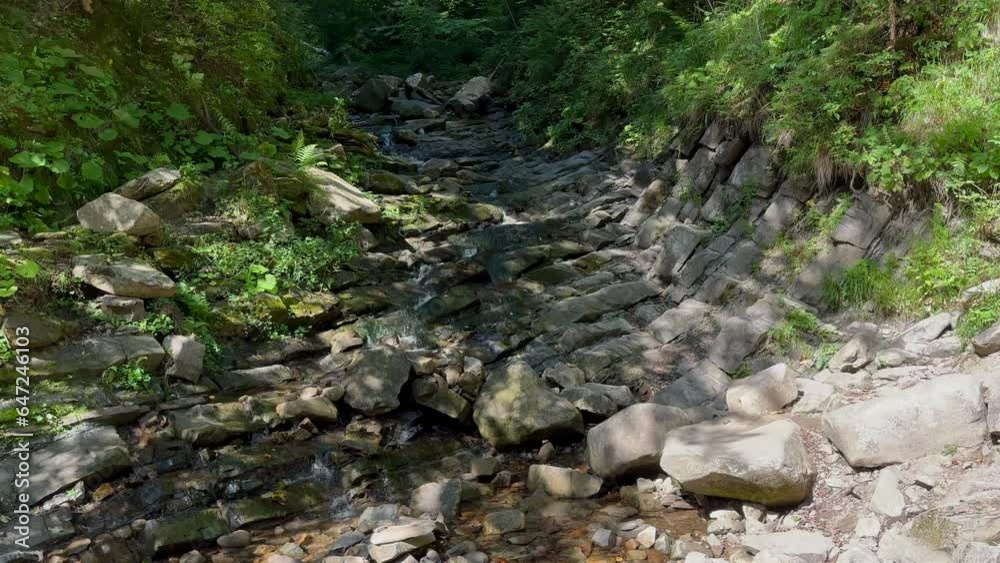 RiveSunny day, Forest, flowing creek, stream in green leaves, mossy stones in Carpathian Mountains forest, Ukrainer-stones RiveSunny day, Forest, flowing creek, stream in green leaves, mossy stones in Carpathian Mountains forest, Ukrainer-stones
