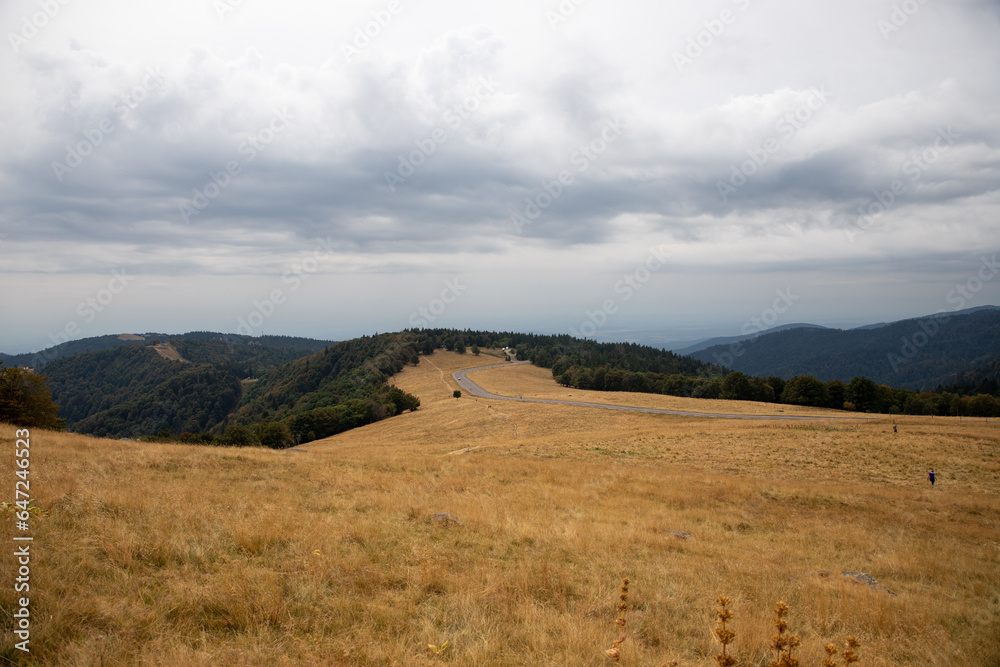 Paysage de montagne