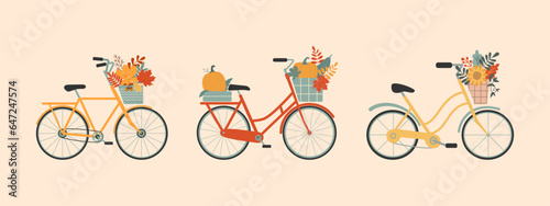 Set of three Cute Ladies bicycle with baskets of autumn leaves. Autumn harvest, pumpkins in wicker baskets. Women city retro bike. Autumn vintage journey concept. Romance. Vector illustration