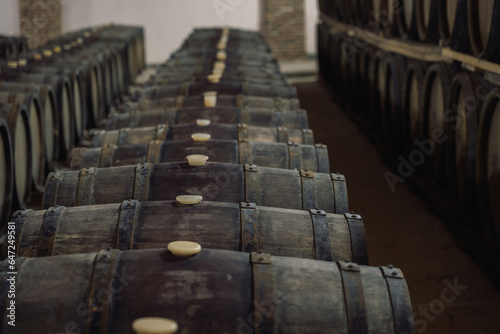 Tableau sur toile Wine or cognac barrels in the cellar of the winery, Wooden wine barrels in perspective