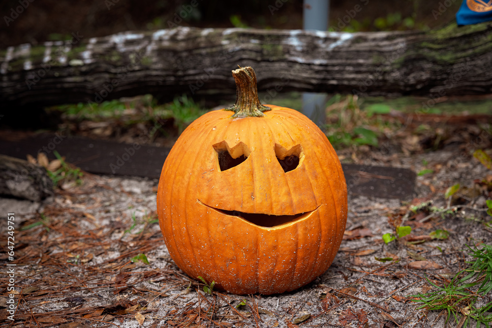 Jack O Lantern in the Woods Jack O Lantern in the Woods