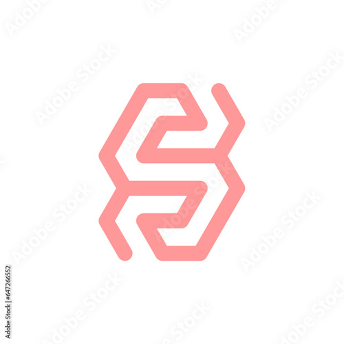 letter GS hexagon logo concept isolated on wite background.