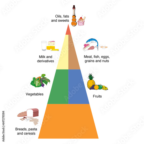 healthy eating pyramid healthy food balanced diet illustration vector