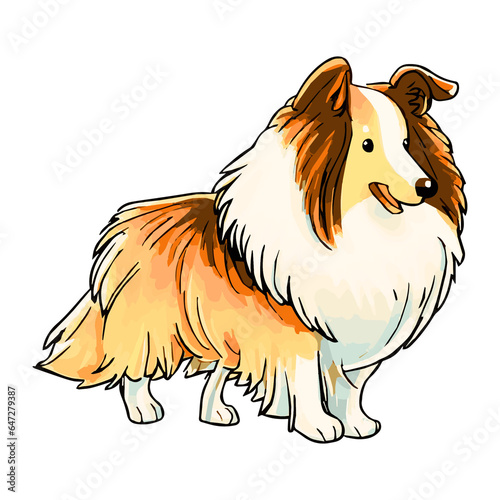 Dog picture  Collie  It s so beautiful. 