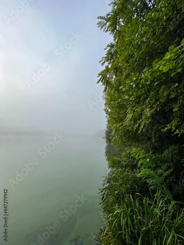 Mystical morning at the fog-kissed lake  where nature s beauty emerges through the ethereal mist.