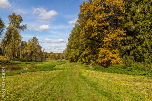 Fototapeta Naklejka Na Ścianę i Meble -  sunny autumnal mowed meadow and yellow forest on its edges with blue sky with white clouds