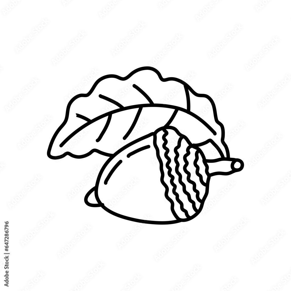 Fototapeta premium hand drawn doodle Acorn line art illustration isolated on white background