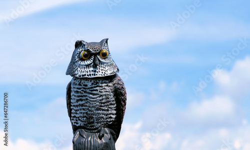Billede på lærred Owl Decoy