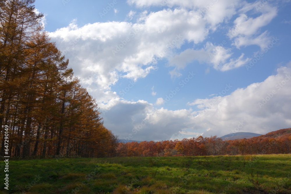 山の野原に紅葉した木々と青空
