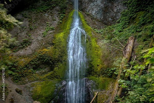 Small waterfall in green lush jungle. Nature background. Landscape with small waterfall. Lush green environmnent