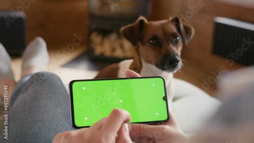 smartphone with green screen chromakey display with motion trackers in woman hand with dog jack russel on background sitting on sofa. finger scroll and tap gesture