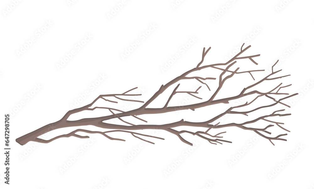 Fototapeta premium Cartoon clipart of bare branch. Doodle of tree without leaves. Contemporary vector illustration isolated on white background.
