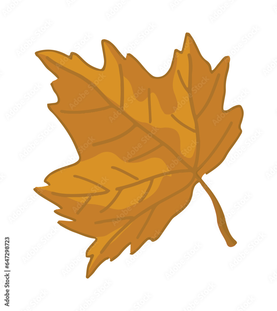 Fototapeta premium Cartoon clipart of maple leaf. Doodle of autumn botany attribute. Contemporary vector illustration isolated on white background.