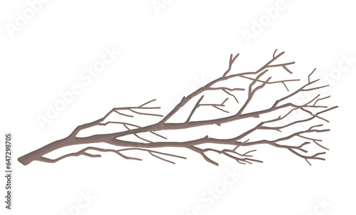 Cartoon clipart of bare branch. Doodle of tree without leaves. Contemporary vector illustration isolated on white background.