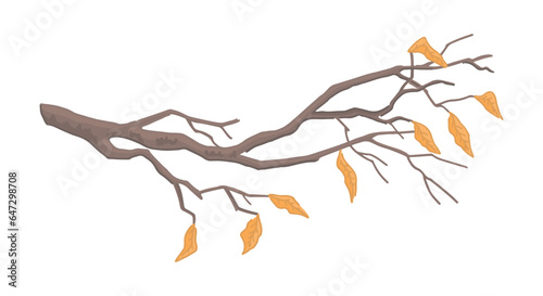 Cartoon clipart of bare branch. Doodle of tree branch with fallen leaves. Contemporary vector illustration isolated on white background.