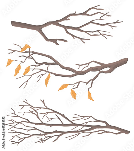 Set of bare branches. Doodles of leafless tree twigs. Cartoon vector illustrations collection isolated on white background.