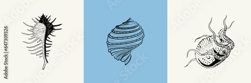 Ocean and Sea, Botanica illustration. Black ink, line, doodle style. 