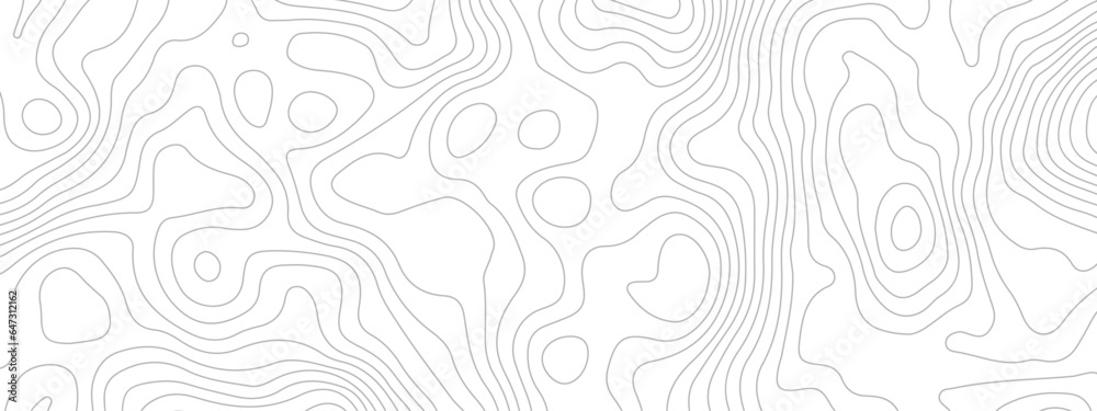 Abstract topographic wavy curve line background. Topography map pattern, Geographic curved relief. Topographic lines background. Vector illustration.	