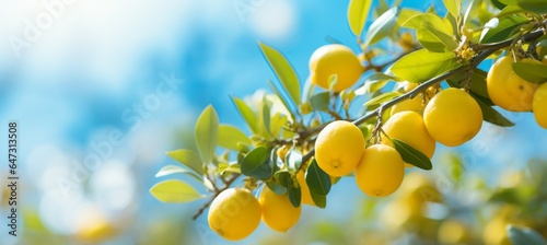 Lemon. Natural agriculture farm concept. Generative AI technology.