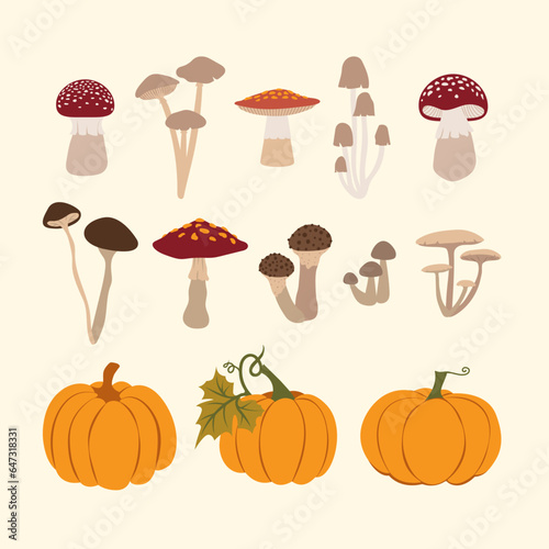 Autumn Mushrooms and pumpkins (ID: 647318331)