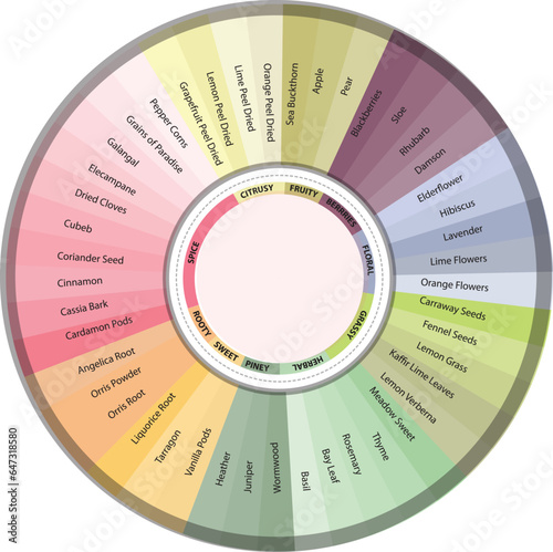 Flavors and color segregated circle chart infographic templates for presentations, advertising, layouts, annual reports. 