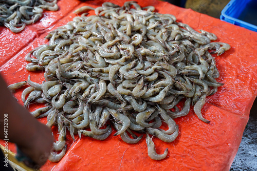 Fresh shrimp was sold in Negombo Fishery Harbour market, Sri lanka