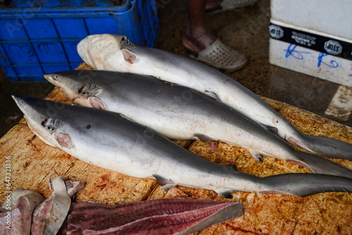 Dead finless silky shark (Carcharhinus falciformis) was sold in Negombo Fishery Harbour market, Sri lanka © Chonlasub