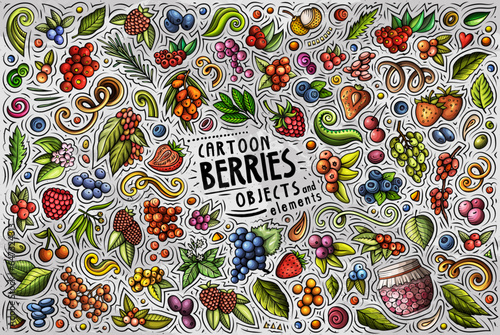 Cartoon Berry fruits objects and symbols doodle set