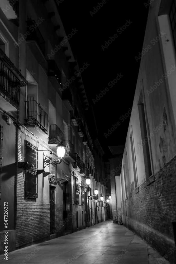 Illuminated streets and Facades of historic houses in Saragossa