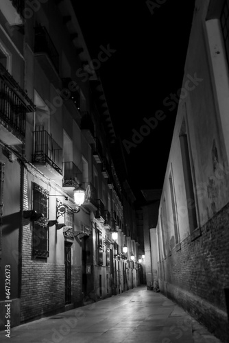 Illuminated streets and Facades of historic houses in Saragossa