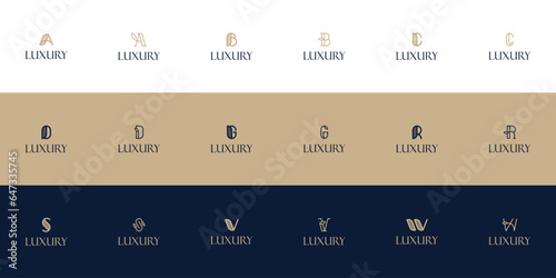 luxury logo, initial letter concept