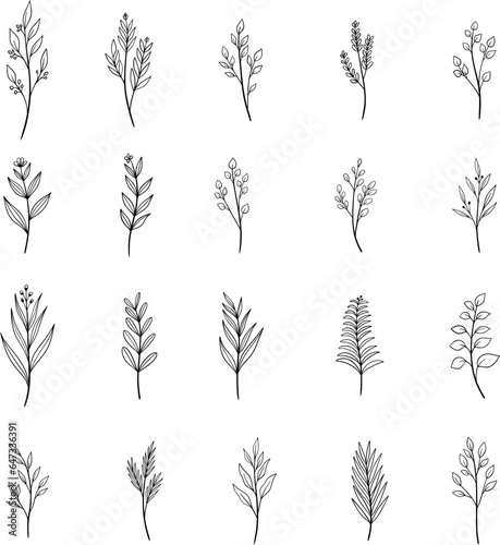 Set of hand-drawn botanical line art, floral, leaves, and plants. Isolated on a white background
