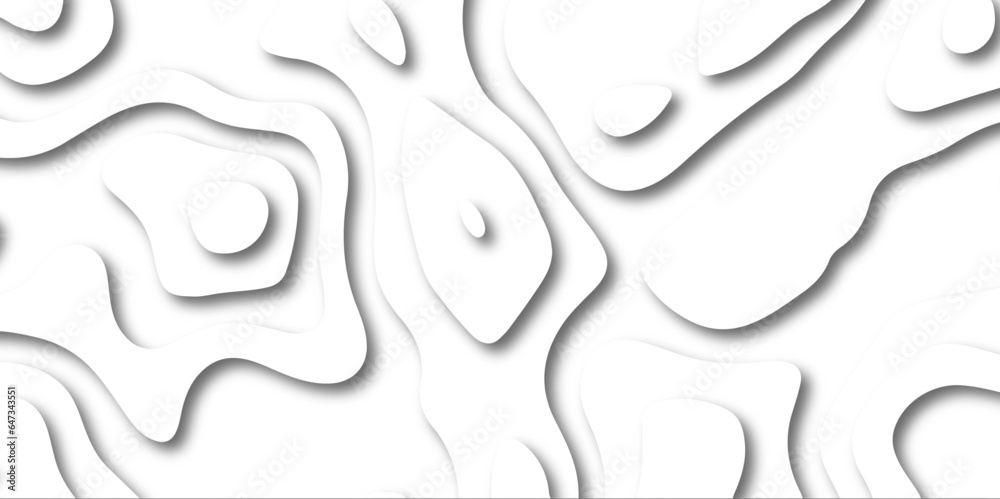 Abstract wavy line 3d paper cut white background. Topographic canyon geometric map relief texture with curved layers and shadow. Abstract white paper cut shapes background with shadow and topography. Abstract wavy line 3d paper cut white background. Topographic canyon geometric map relief texture with curved layers and shadow. Abstract white paper cut shapes background with shadow and topography.