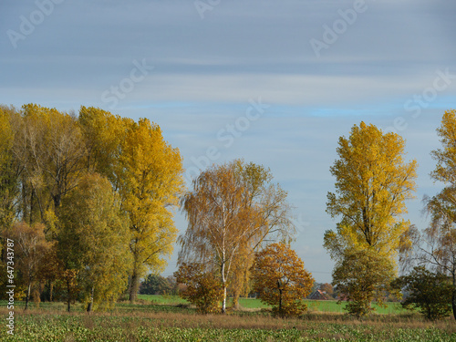 Herbstzeit im Münsterland