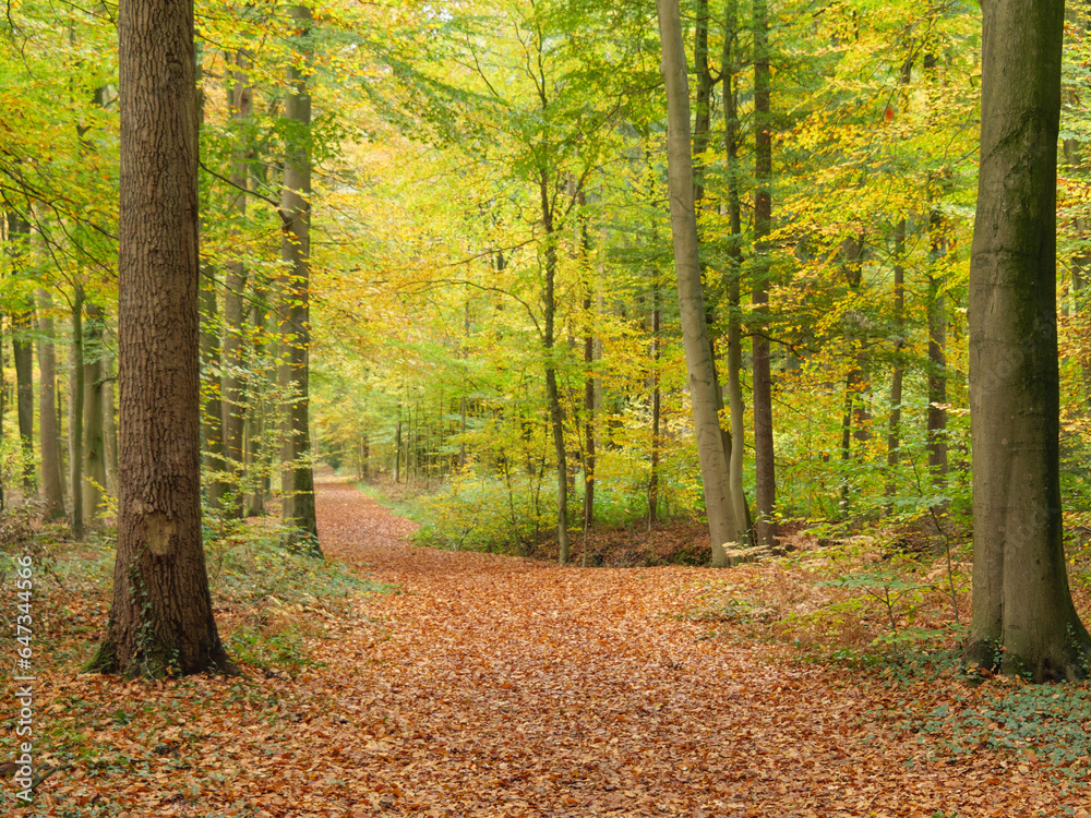 Herbstzeit im Münsterland