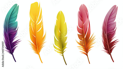 Colorful feathers collection isolated on white background © Kiss