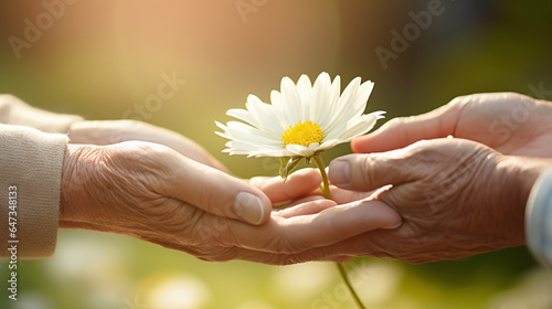 A hand of kindness offering a flower of hope