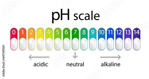 pH scale chart for acid and alkaline solutions. Acid-base balance infographic. Vector