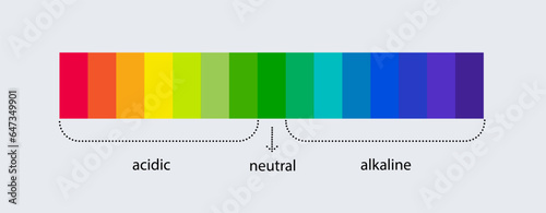 pH scale indicator chart. Acidic Alkaline measure. pH analysis chemical scale value test. Vector