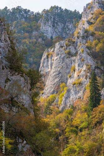 autumn season and horma canyon walking path between the rocks and the colors of nature