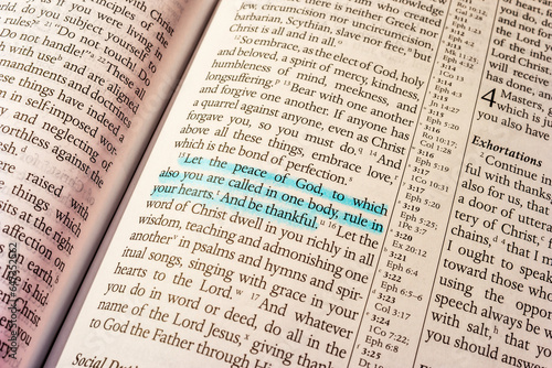 Colossians chapter 3 verse 15