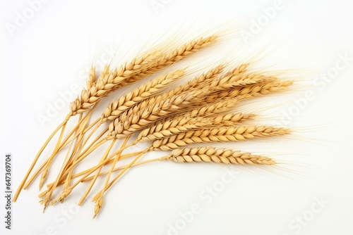 A group of wheat ears on a white background. Generative AI