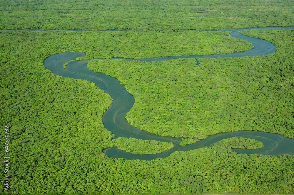 Fototapeta premium Aerial view of a river delta with lush green vegetation