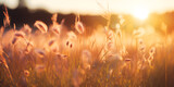 grass in the sunset Generative Ai, Sunflare Pictures
