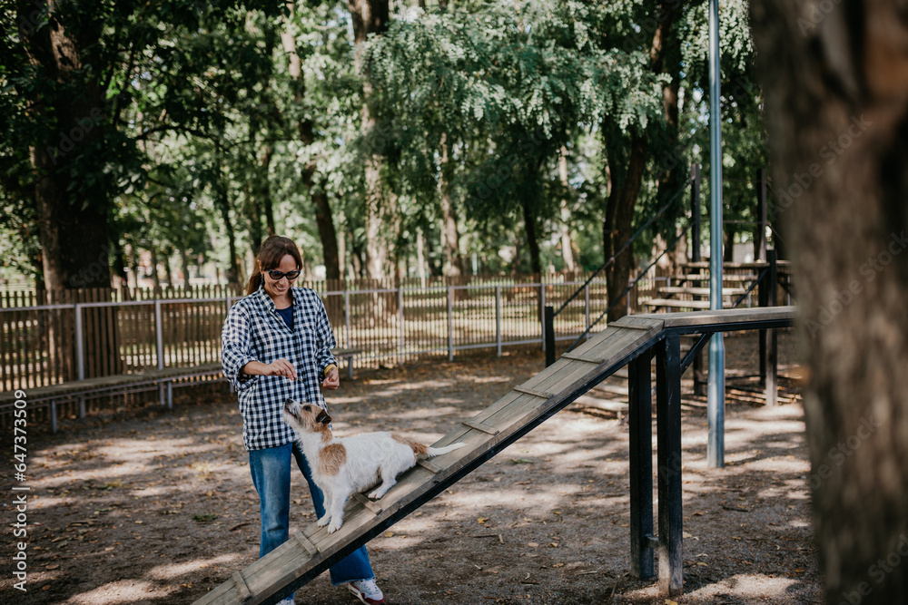 A young female walks and trains her dogs Jack Russell terriers in a specially equipped dog walking area. A young female walks and trains her dogs Jack Russell terriers in a specially equipped dog walking area.