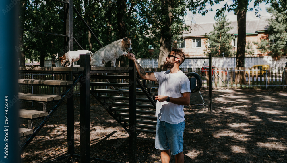 A young guy walks and trains his dogs Jack Russell terriers in a specially equipped dog walking area. A young guy walks and trains his dogs Jack Russell terriers in a specially equipped dog walking area.