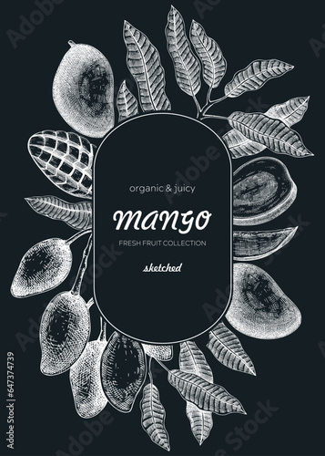 Fruit design template on chalkboard. Realistic mango hand-drawn vector illustration. Exotic fruit, mango tree branches, leaves sketches. Vintage frame, packaging, Healthy food. Summer design element