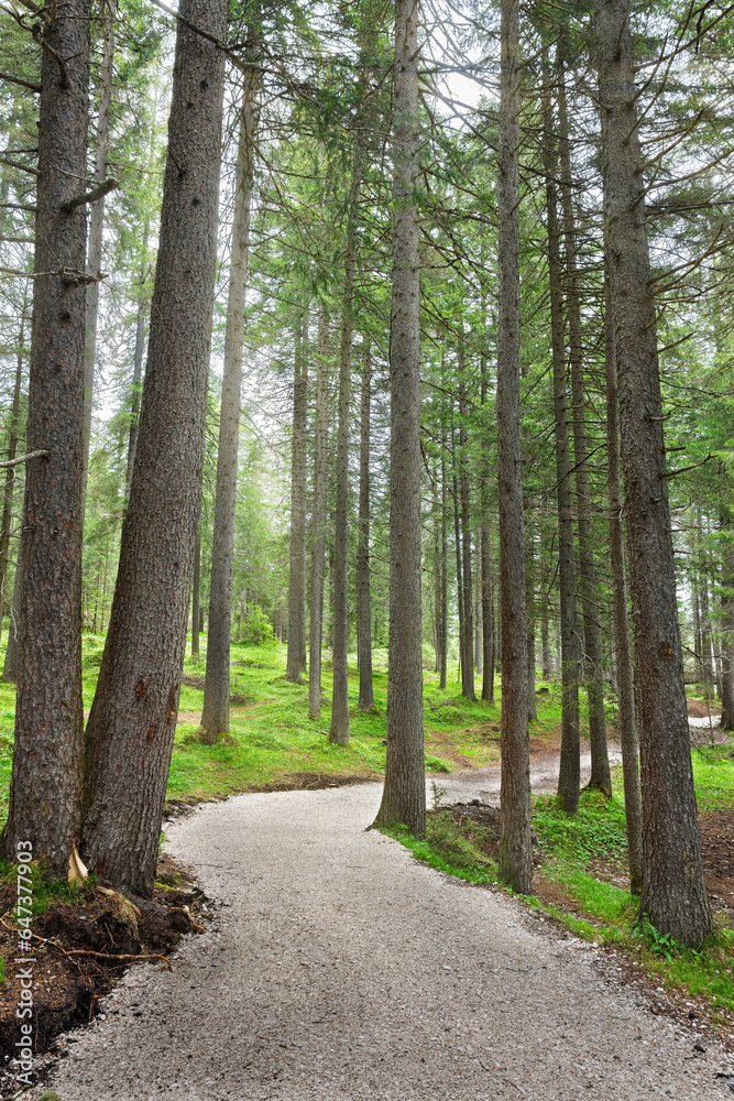 Fototapeta premium trail around Lago di Dobbiaco