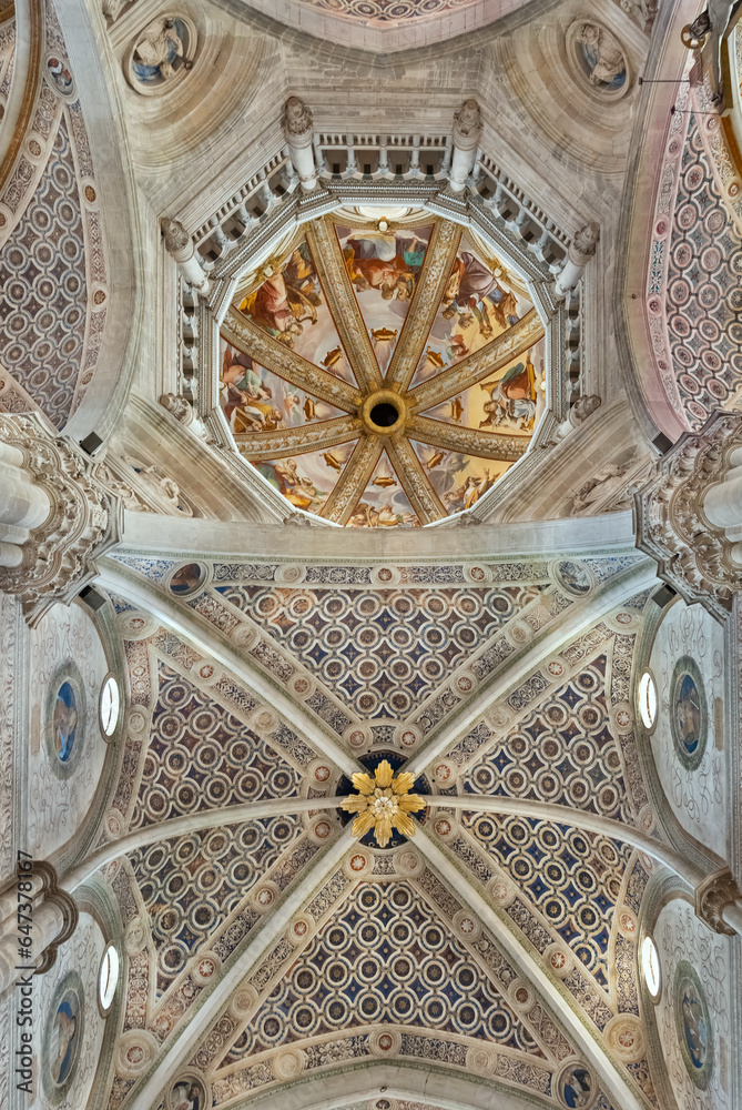  Charterhouse, the ceiling of main nave of the church
