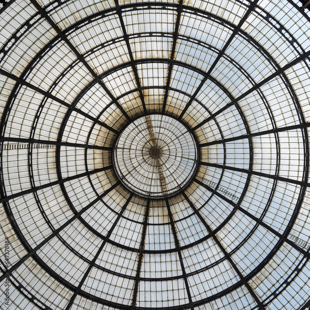 fragment of the ceiling of the Galleria Vittorio Emanuele in Milan